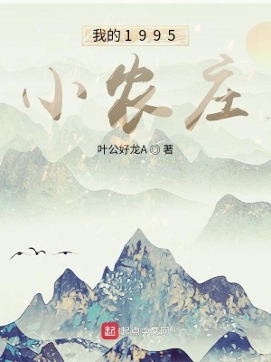 我的1995小农庄