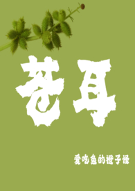 《苍耳》小说